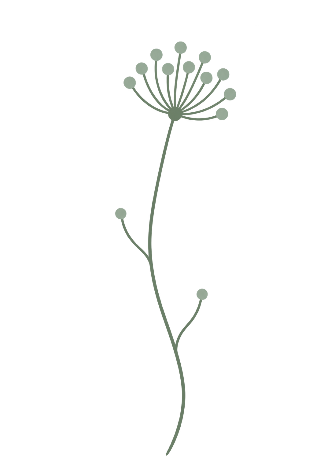 Minimal sage illustration of a single mold spore head on a slender stem